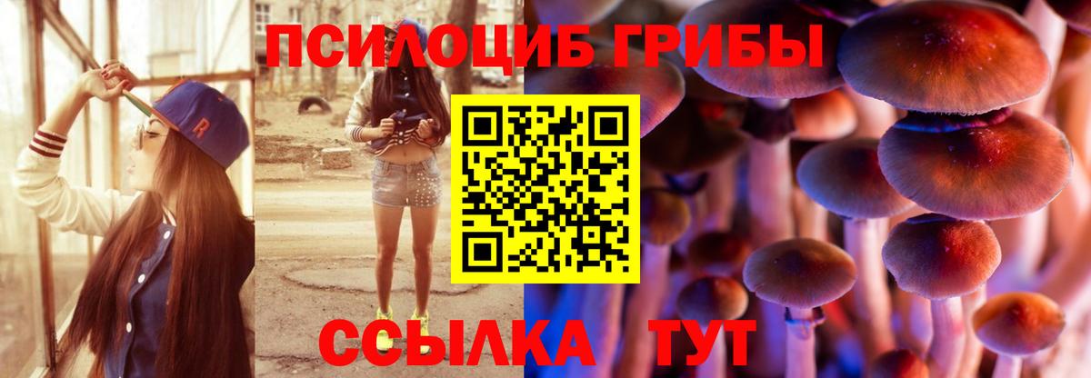 Псилоцибиновые грибы GOLDEN TEACHER  даркнет сайт  Темрюк  Вход с VPN 